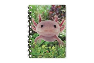 Obrázek z Notes 3D 9,3x13,5cm - axolotl (12) 